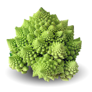 I don't understand what's happening,you shoud se Romanesco broccoli, but you can search on google image... 